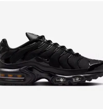 Nike Air Max plus WMNS Casual Shoes